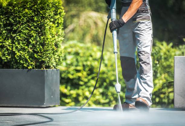 Best Driveway Pressure Washing  in Riner, VA