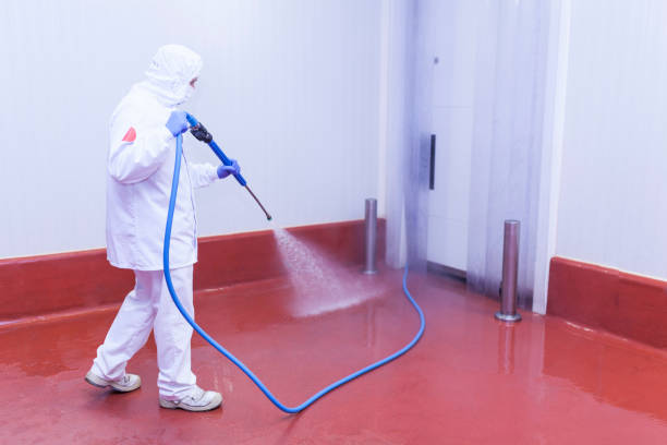 Best Boat and Dock Cleaning  in Riner, VA